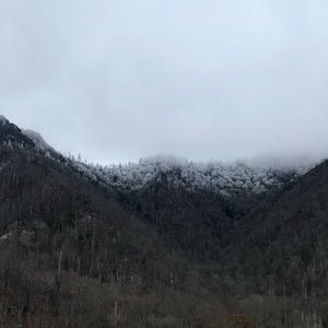 Meet your Posher, Barry